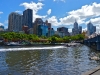 federationsq1