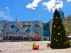 federationsq8