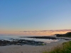 sauvage4
