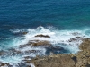 sauvage7
