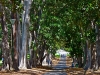 fitzroy03