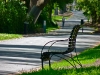 fitzroy11