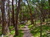 grampians11