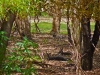 grampians13