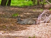 grampians14
