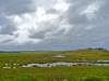gorpluie10