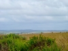 gorpluie11
