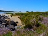 portfairy04