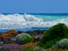 portfairy07