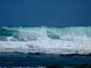 portfairy08
