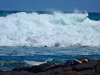 portfairy10