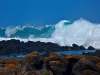 portfairy11